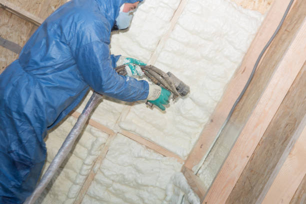 Best Wall Insulation Installation  in Escondido, CA